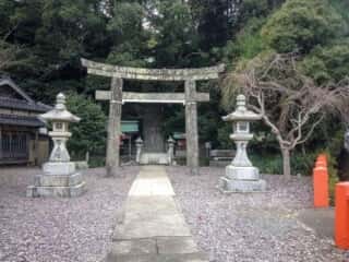 宗像大社中津宮　鳥居と参道