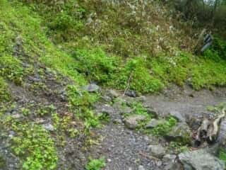 名水百選 剣山御神水