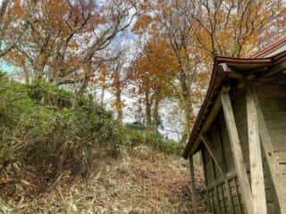 赤神神社奥宮
