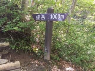 大山登山道