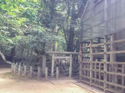 真名井神社