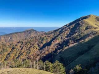 剣山・次郎笈 登山道の景色