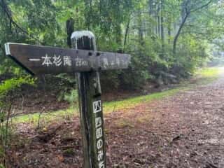 四国八十八ヶ所霊場 第11番札所 藤井寺〜第12番札所 焼山寺
