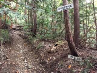 白神岳登山道