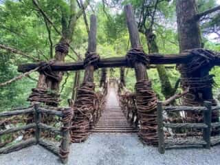 祖谷のかずら橋