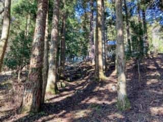 室根山　室根神社参道