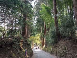 中尊寺の散歩道
