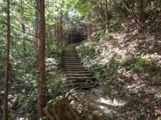 山上ヶ岳（大峯山）登山道
