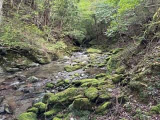 矢筈山・石堂山