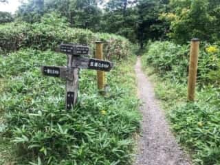 知床五湖 地上遊歩道