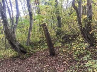 岩木山登山道