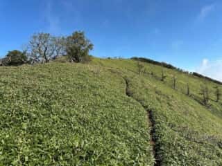 矢筈山・石堂山