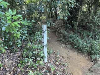 八倉比賣神社