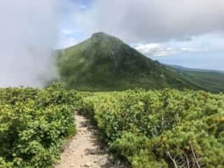 羅臼岳登山道