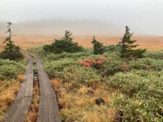 八幡平登山道