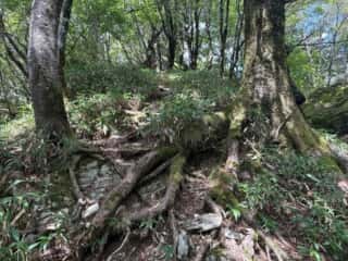 白髪山・平和丸
