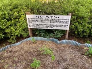 キリストの墓　バーベイン