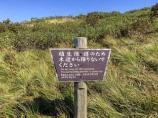 大山夏山道
