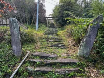 山崎忌部神社