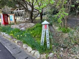 四国八十八ヶ所霊場 第38番札所 金剛福寺～第39番札所 延光寺