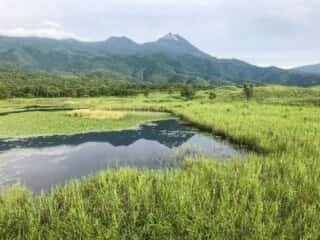 知床五湖 地上遊歩道