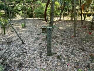 四国八十八ヶ所霊場 第44番札所 大寶寺