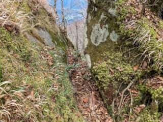石上登山道