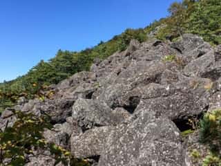 権現岳登山道