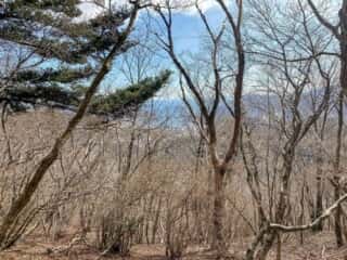 石投山 黒森山 登山道