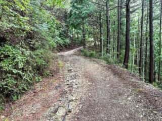 四国八十八ヶ所霊場 第11番札所 藤井寺〜第12番札所 焼山寺