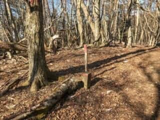 石投山 黒森山 登山道
