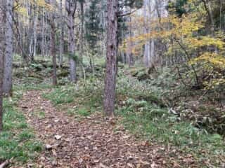 石上登山道