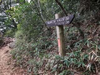 筑波山登山道