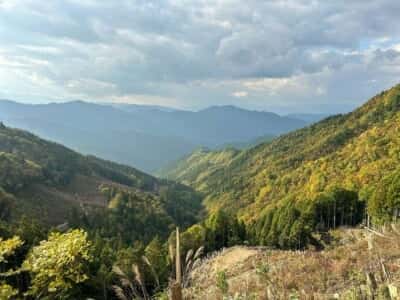 正善山