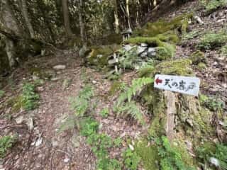 天磐戸神社