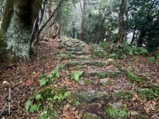 四国八十八ヶ所霊場 第30番札所 善楽寺～第31番札所 竹林寺（五台山）