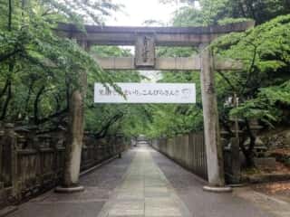 金刀比羅宮　鳥居