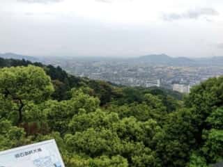 金刀比羅宮からの景色