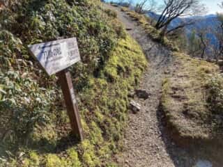 剣山登山道