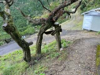 四国八十八ヶ所霊場 第11番札所 藤井寺〜第12番札所 焼山寺