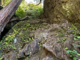 妙義山 登山道