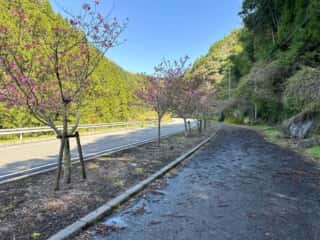 伊代大洲駅〜四国八十八ヶ所霊場 第44番札所 大寶寺