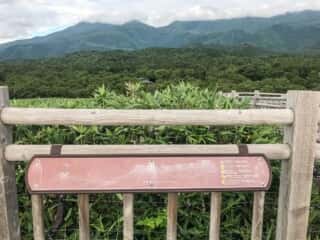知床五湖 地上遊歩道