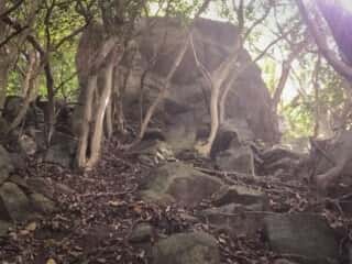 羽衣石周辺の岩場