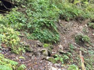 白神岳登山道