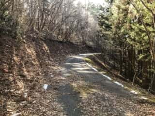 石投山 黒森山 登山道
