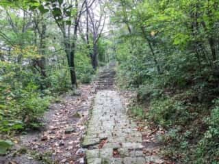 高千穂峯登山道