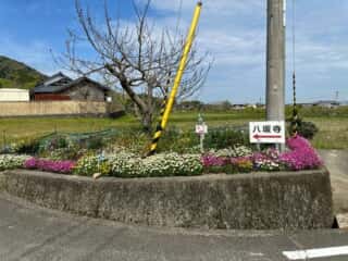 四国八十八ヶ所霊場 第46番札所 浄瑠璃寺〜第47番札所 八坂寺