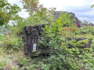 一年峰山道途中の「笠置岩」