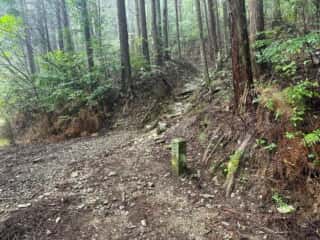 四国八十八ヶ所霊場 第11番札所 藤井寺〜第12番札所 焼山寺